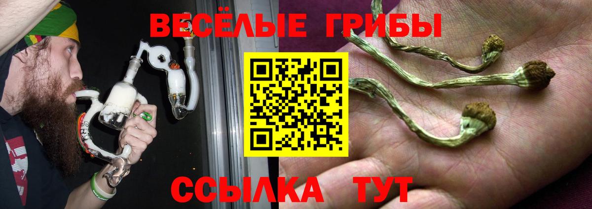 Галлюциногенные грибы мухоморы  Вход с VPN  Муравленко  Псилоцибиновые грибы мицелий 